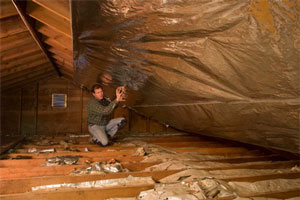 Inspecting an attic barrier