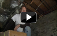 Enjoy a healthier and mold-free home with Dr. Energy Saver