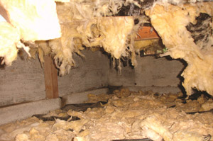 Sagging wet crawl space insulation